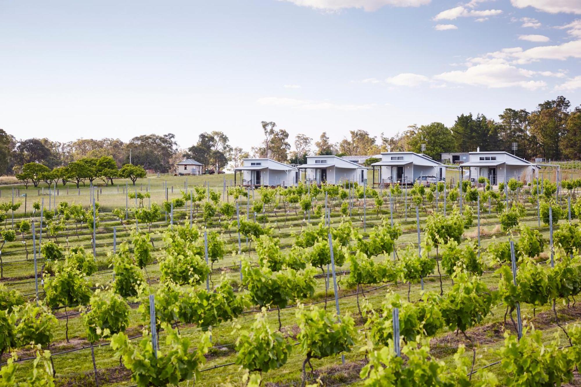 Ridgemill Estate Aparthotel Stanthorpe Bagian luar foto