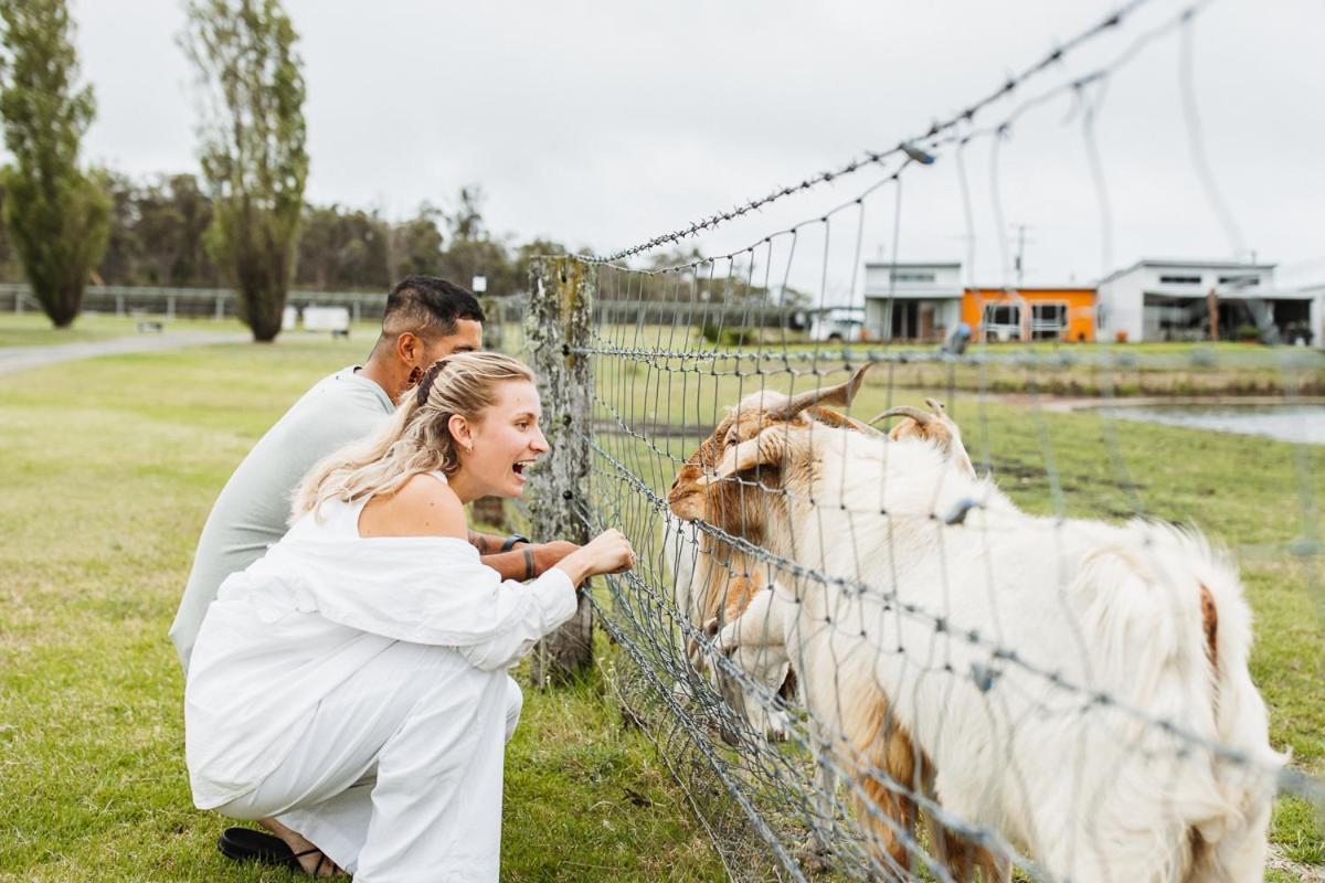 Ridgemill Estate Aparthotel Stanthorpe Bagian luar foto